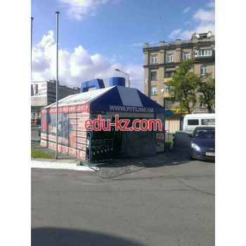 Автокосметика, автохимия Pitline - на avtobase.su в категории Автокосметика, автохимия